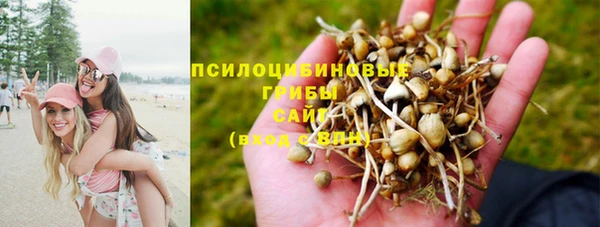 амф Лагань