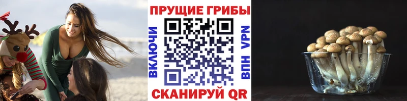 Псилоцибиновые грибы мухоморы  где продают   Черепаново 